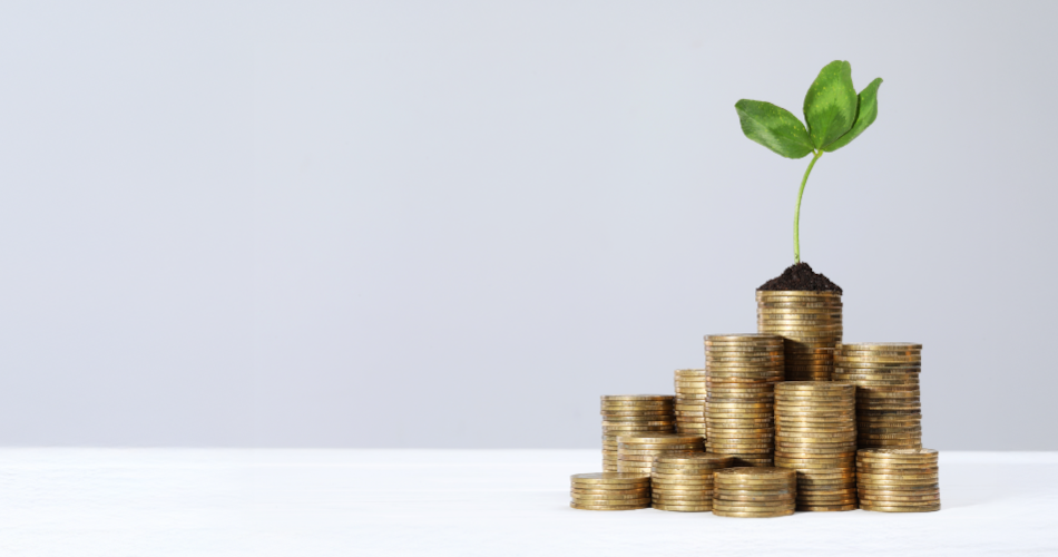 Fixed Deposits